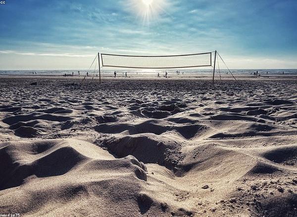 Red Voley Profesional